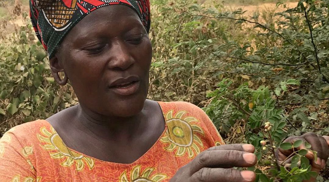 How One Woman is Impacting the World