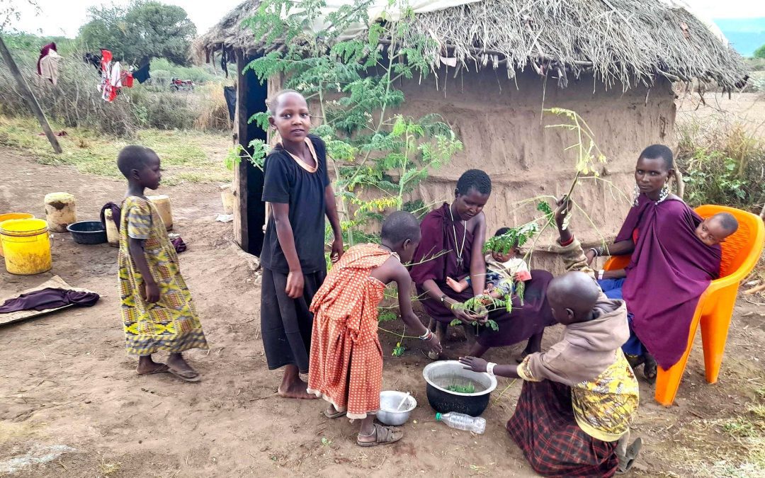 Moringa & Epigenetics