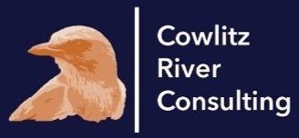 Cowlitz+River+Consulting+Logo Computer Link NW