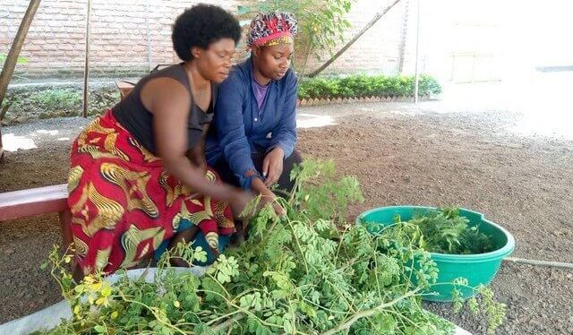 More Than We’ll Ever Know