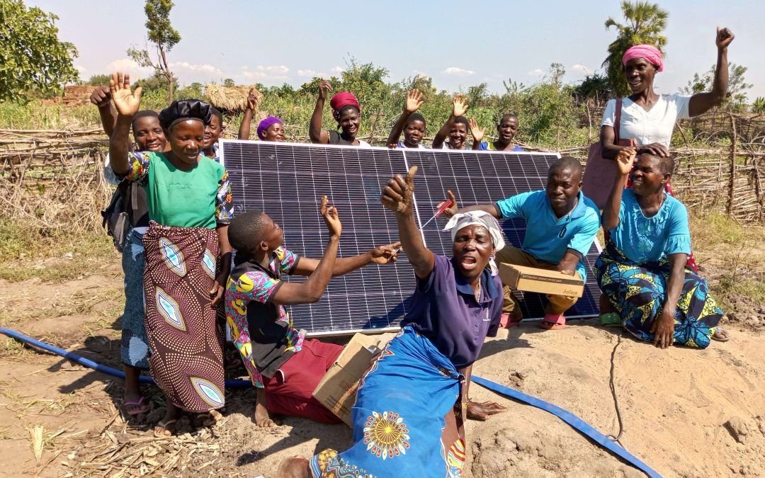 The First of Many Harvests