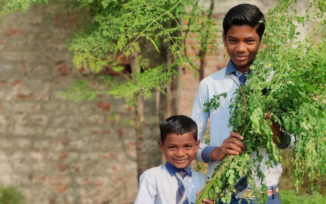 Better Health Than Money Can Buy – 2025 Year-End Campaign